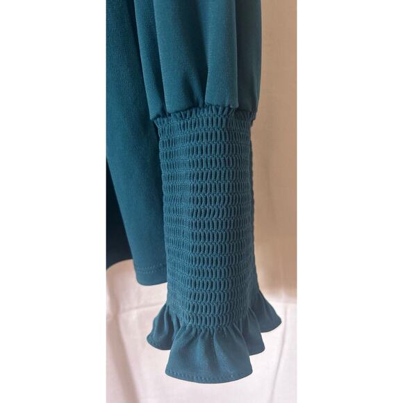 Preston and York Green Blue Large Top Blouse Long Sleeve Elastic Ruffled Wrist - Picture 3 of 6